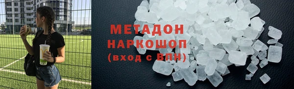 молекула духа Вяземский