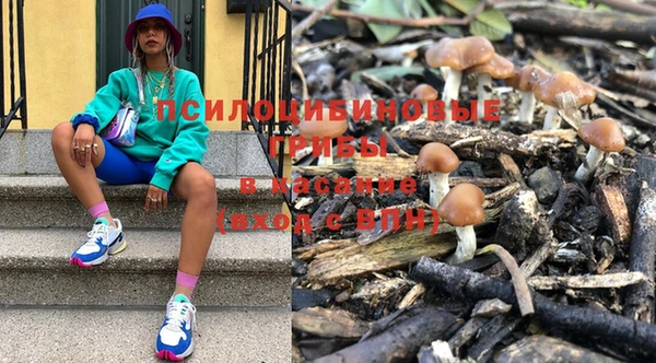 mdpv Алзамай