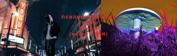 mdpv Алзамай
