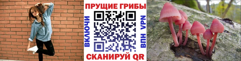 это наркотические препараты  Амурск  Галлюциногенные грибы мицелий 